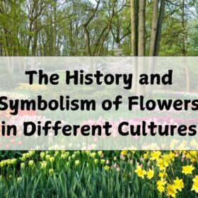 The History and Symbolism of Flowers in Different Cultures