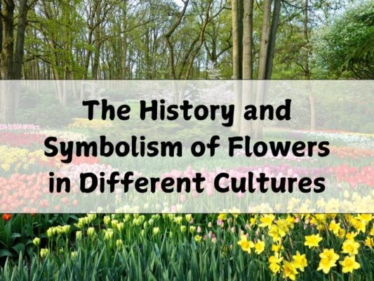 The History and Symbolism of Flowers in Different Cultures